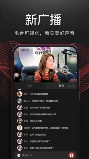 趴在窗台上的缅因猫凝视飞鸟壁纸